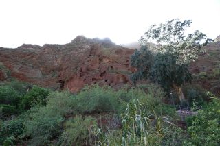 2019-03-GC-Cueva_Bermeja-11.JPG